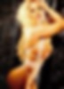66149767_coco132.jpg