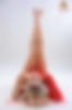 66970240_cinnamon_252_091.jpg