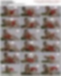 89069440_tm_sugar_010.avi.jpg