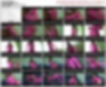 91873069_pionap18.wmv.jpg